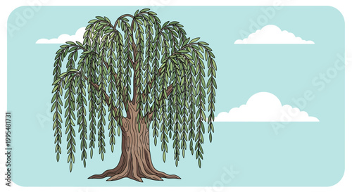 Weeping Willow Tree with Clouds - Illustration