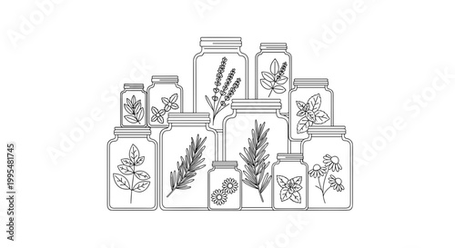 Illustration of glass jars filled with various herbal extracts, arranged in a pyramid on a white background, showcasing botanical elements and organic designs