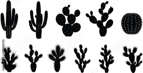 Black Silhouette Collection of Various Desert Cactus Plants Including Saguaro Prickly Pear and Succulent Species