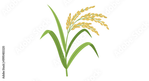 Ripe Rice Plant with Golden Grains and Green Leaves