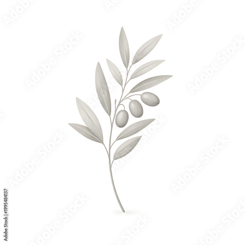 A branch of an olive tree with leaves and olives