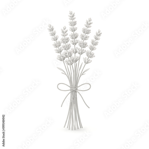 A bouquet of dried lavender flowers tied with a ribbon