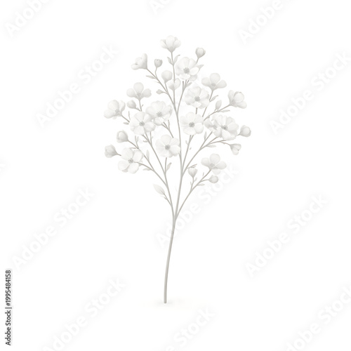 A small tree with white flowers growing on its branches
