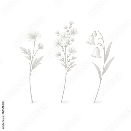 A set of three different types of flowers