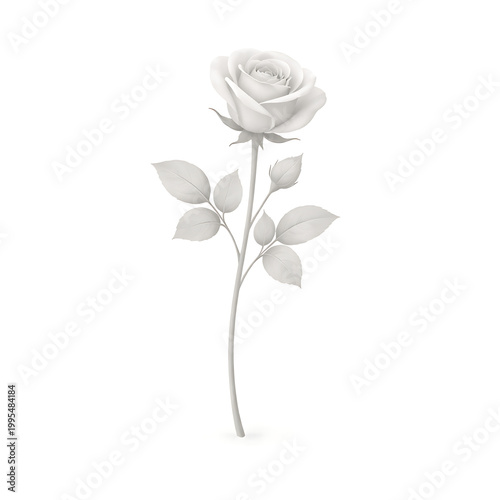 A single white rose with leaves on a stem