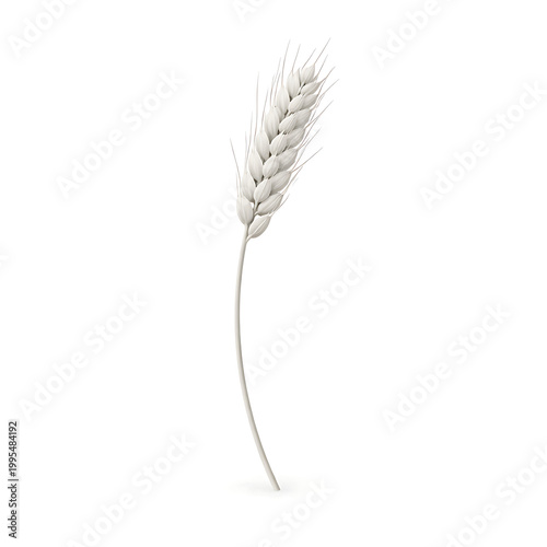 A single wheat stalk with a curved stem