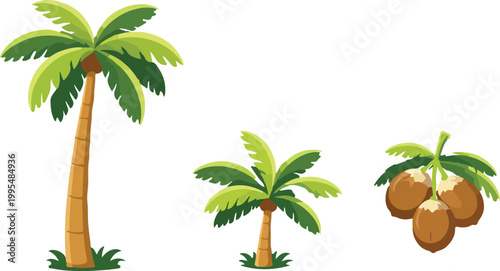 Tropical Palm Tree Set for Summer Vacation and Island Travel Flat Vector Illustration