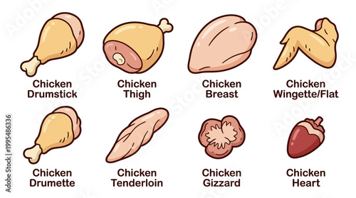 A colorful collection of raw chicken meat cuts including drumsticks, breasts, thighs, wings, tenders, gizzards, and hearts for culinary preparation.