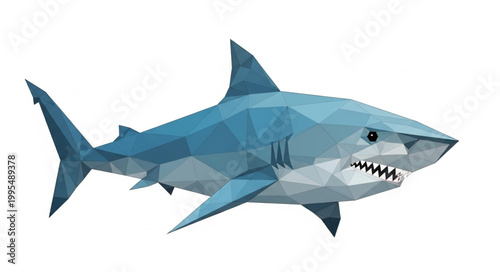 Blue shark with sharp teeth swimming.