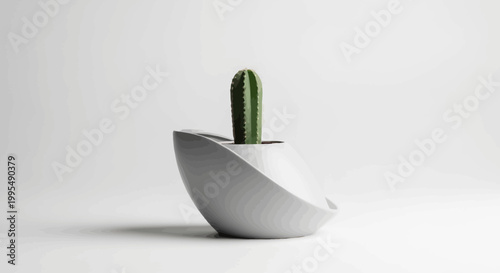 Minimalist Modern Cactus Plant in Unique White Planter