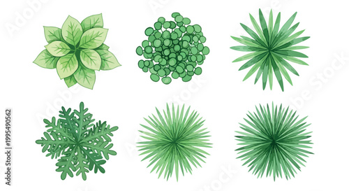 Watercolor architectural tree plan symbols, set of 6 green plant top view icons, landscape design elements for site mapping and garden planning