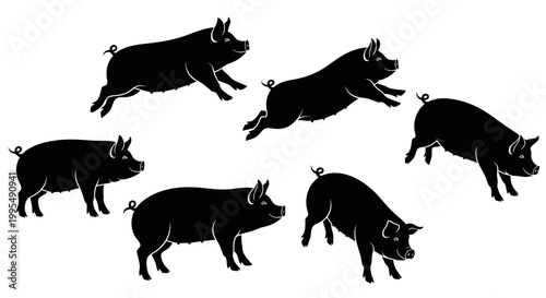 Group of Black Pigs Silhouettes Running and Grazing in a Field
