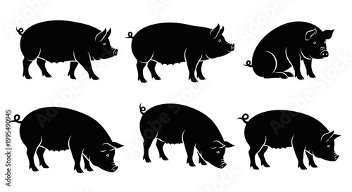 Set of Six Black Pig Silhouettes in Different Poses on White Background