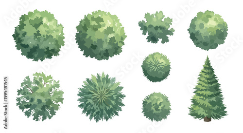Top view tree set for landscape design, aerial garden plants and forest greenery icons, architectural site plan vegetation vector collection
