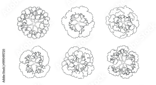 Minimalist tree top view vector set, architectural landscape plan symbols, 6 black and white outline plant icons for site mapping and garden design