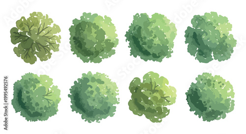 Watercolor tree top view collection, 8 green plant symbols for landscape architecture, aerial garden plan icons, hand drawn nature vector set