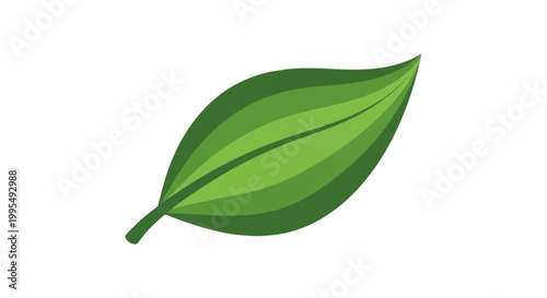A stylized illustration of a single green leaf with visible veins, set against a white background.