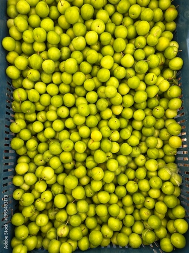 Small green plums in a crate.
High angle view of numerous small green plums, a popular seasonal spring fruit in a rustic crate.