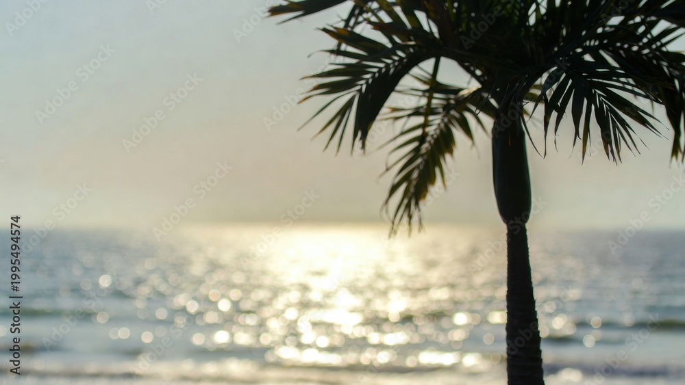 Fototapeta premium Single palm trunk silhouetted by glowing sunlight on sea