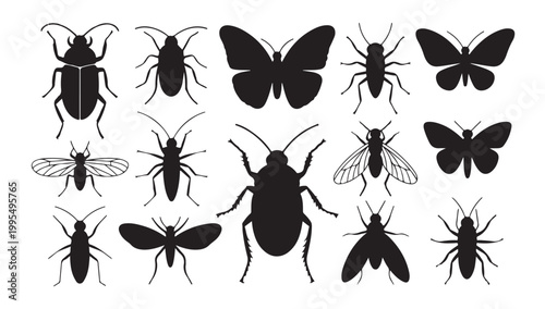 Set of various insect silhouettes isolated on white background for nature design elements.