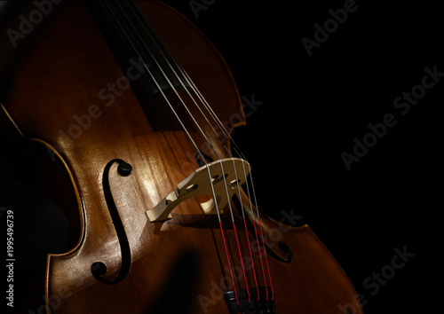 A fragment of a double bass on a black background
