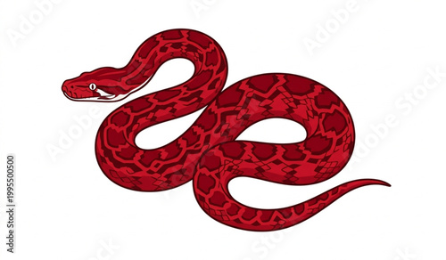 Red Python Snake Vector Illustration Isolated on White Background