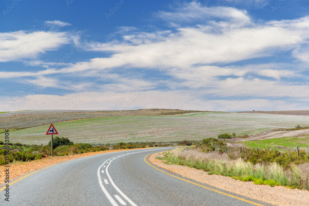 Obraz premium Asphalt road in South Africa surrounded by fields