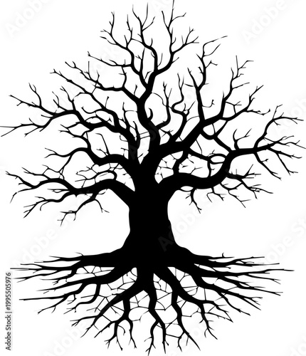 Black Silhouette of a Bare Tree with Extensive Roots and Branches on White Background