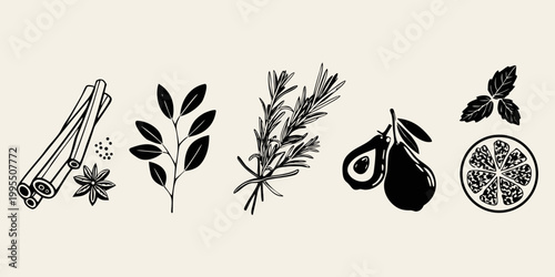 Botanical illustration featuring cinnamon sticks herbs avocado and citrus