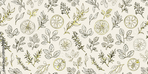 Botanical illustration featuring herbs lemon slices and delicate foliage