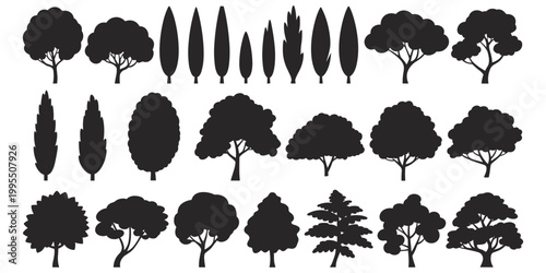Tree silhouette collection illustration, diverse botanical artwork, landscape design concept scene, natural foliage comparison representation, forest species variety, flat vector illustration
