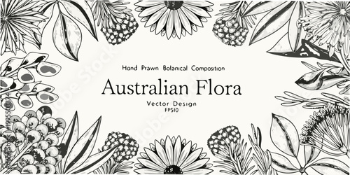 Detailed botanical illustration showcasing various species of australian flora
