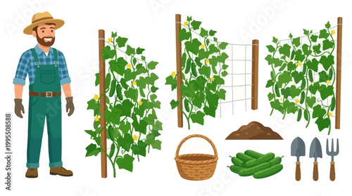 A smiling farmer stands by his thriving cucumber trellis surrounded by freshly harvested vegetables, soil, and gardening tools.