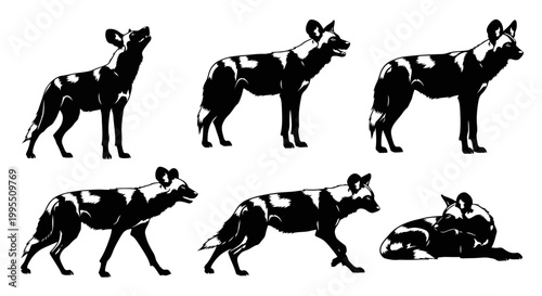 African Wild Dog Silhouette Vector Set in Various Poses