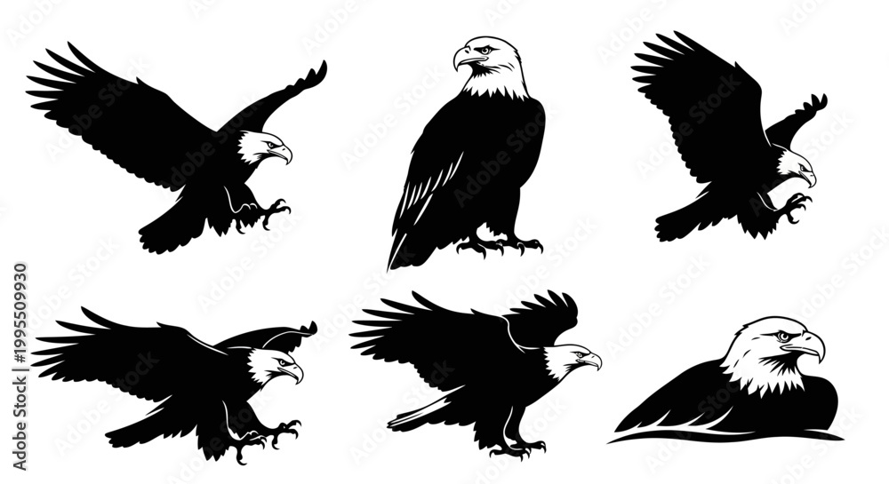 Obraz premium Bald Eagle Silhouette Collection: Majestic Birds in Flight and Perched Poses