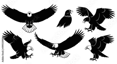 Bald Eagle Silhouettes Collection: Flying, Hunting, Perched - Vector Graphics