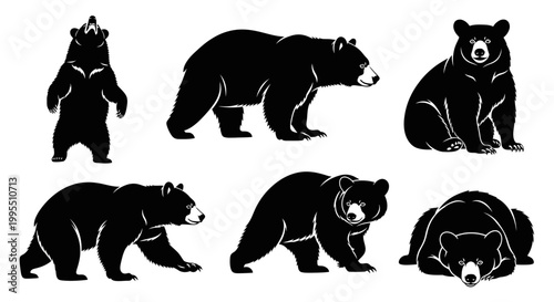 Black Bear Silhouettes Set, Vector Wild Animal Illustrations