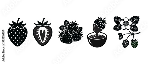 Strawberry icons set black vector design, fresh fruit sliced and chocolate dipped berry, garden flower and leaves illustration, isolated culinary symbols collection for healthy food menus and cooking