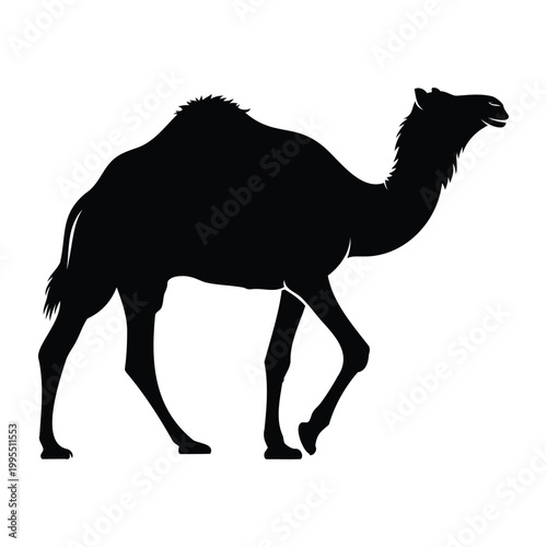 Black silhouette of a walking camel isolated on white background