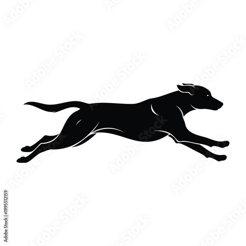 Black dog running isolated on white background