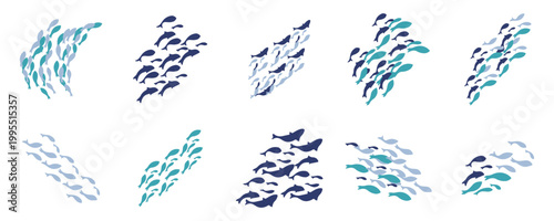 Set of Fish School Vector Illustrations