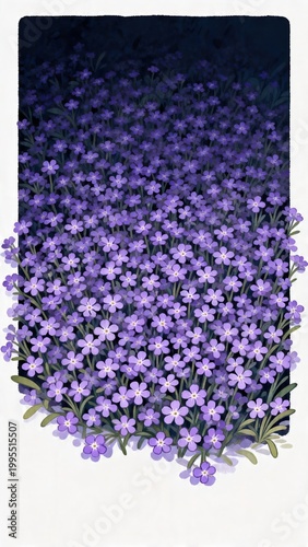 Purple flower field in bloom