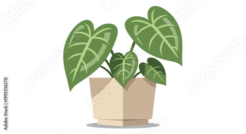 A vibrant illustration depicting a heart shaped philodendron plant in a light beige pot