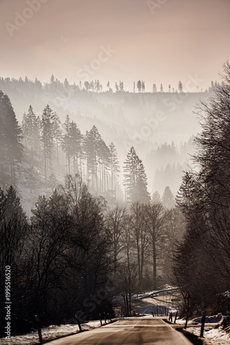 Asphalt road leading into misty winter forest with bright backlight and snow covered trees