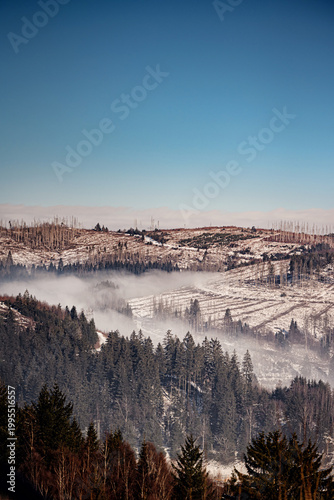 Panoramic view of rolling fog in mountain valley with snowy slopes and dead spruce forest