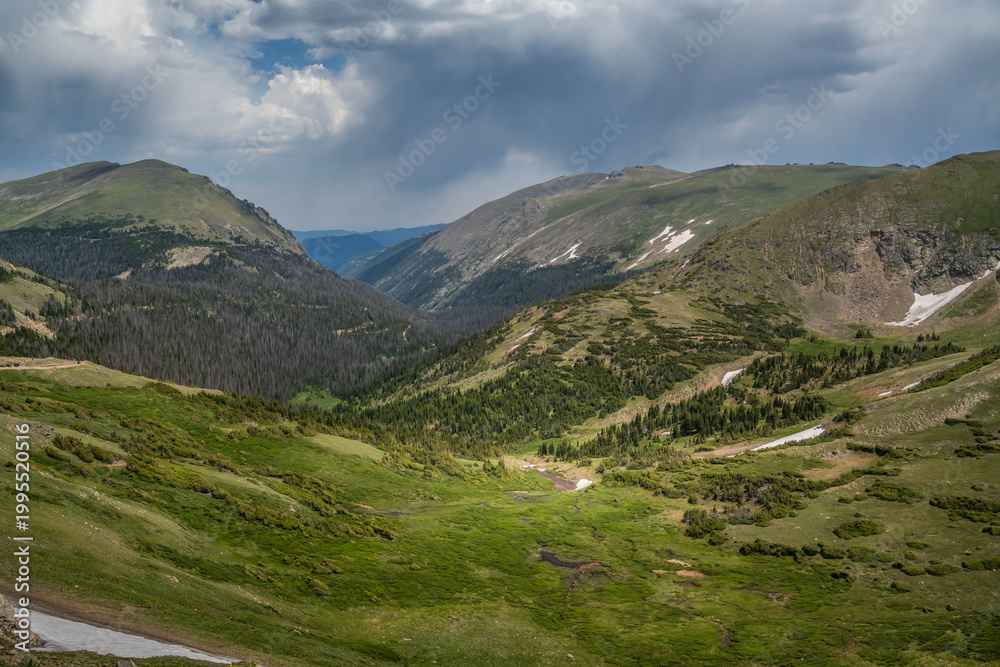 Fototapeta premium Landscape with Evergreen Hillside in Rocky Mountain NP, Colorado