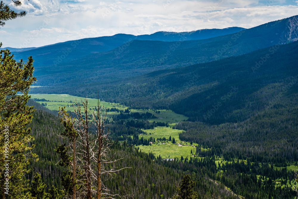 Fototapeta premium Landscape with Evergreen Hillside in Rocky Mountain NP, Colorado