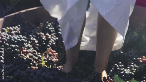 A woman barefoot treading grapes in a wooden vat, capturing traditional winemaking in a sunlit setting.