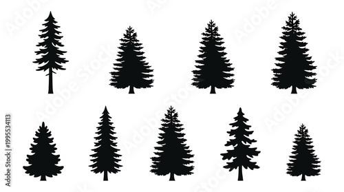 Set of pine tree silhouettes, collection of evergreen coniferous trees, fir tree shapes, forest elements for landscape design