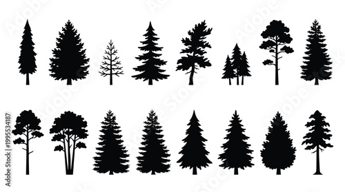 Set of black silhouettes of coniferous trees